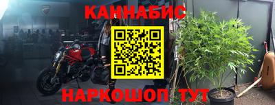 твердый Сланцы