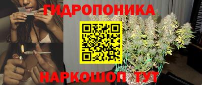 твердый Сланцы